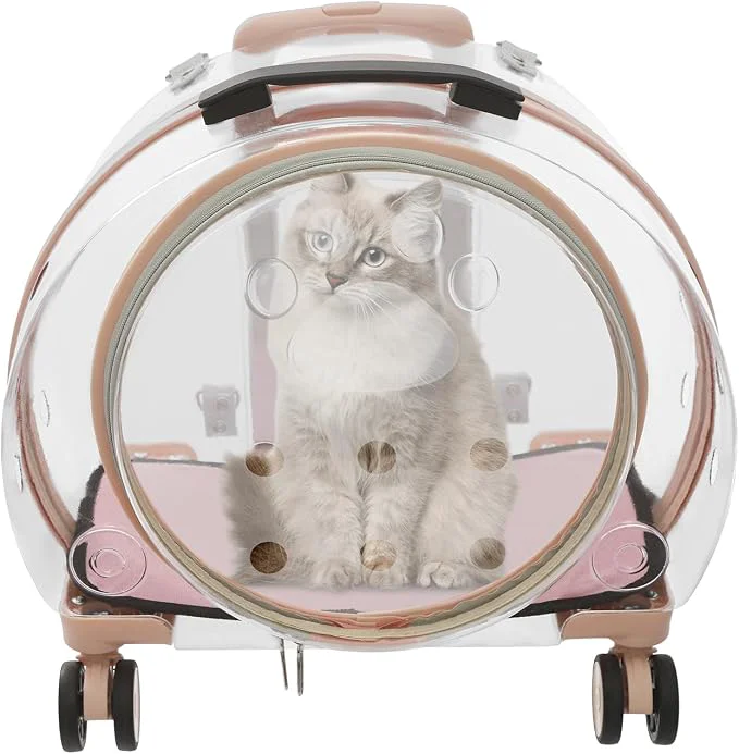 Pure Transparent Fully Breathable Hard Cat Carrier Clean