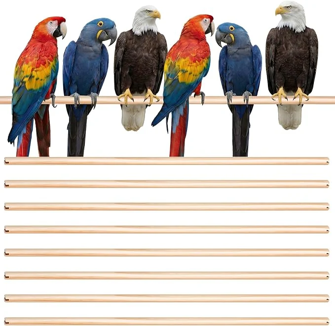 Dependable Sintuff 8 Pcs Bird Perches for Cage Accessories Wooden Perch Rods Carefully Designed