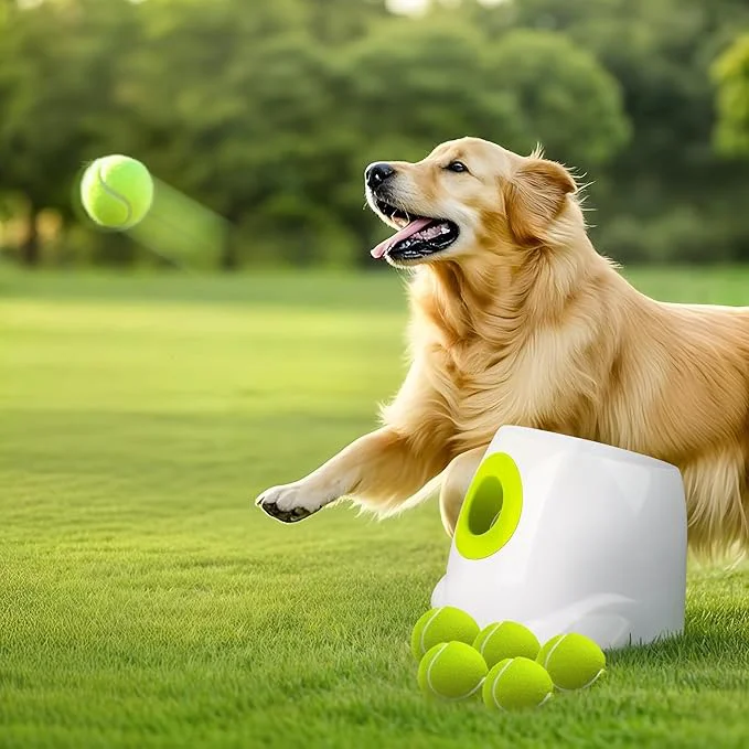 Fine Crafted ALL FOR PAWS Automatic Dog Ball Launcher Interactive Fetch Toy for Medium to Large Dogs Rechargeable Pet Ball Thrower Machine for Outdoor Play 6 Pcs 2.5-Inch Balls IncludedAbout ThisOverview Refined