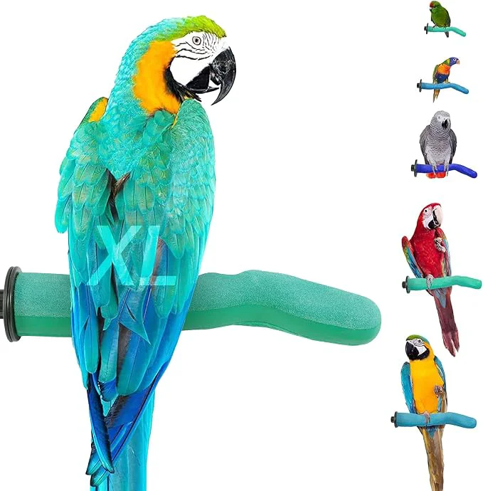 Green Sweet Feet and Beak Safety Pumice Perch Durable