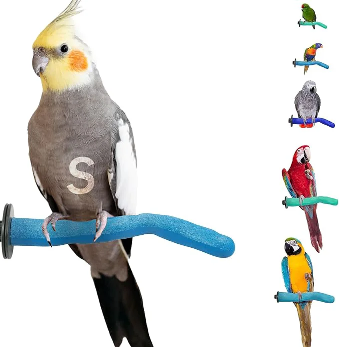 Selected Sweet Feet and Beak Safety Pumice Perch Green