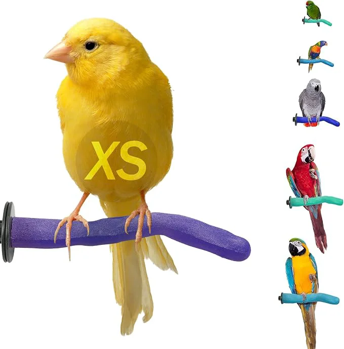 Contemporary Sweet Feet Beak Safety Pumice Bird Perch X-Small 1 2 X 6 Casual