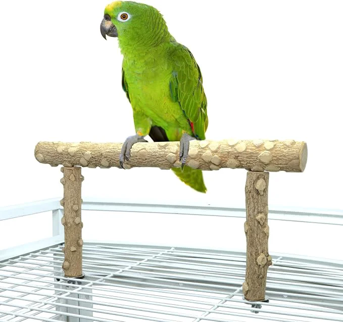 Quality Bird Perch Stand Bird Cage Top Perch Gym Natural Wood Parrot Branch Responsible