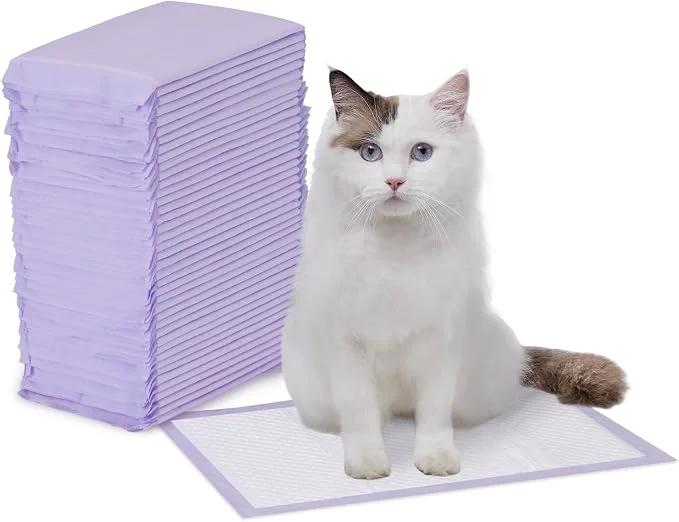 Smart Amazon Basics Cat Pee Pads Super Absorbent Odor Control Universal Fit Professional