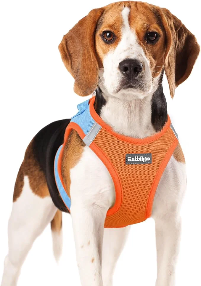 Carefully Designed rabbitgoo Small Dog Harness Step-in Soft Mesh Puppy Vest with Safety Buckle Breathable Reflective Pet Harness for Small Medium Dogs Blue Orange XLAbout ThisOverview Eco-Friendly
