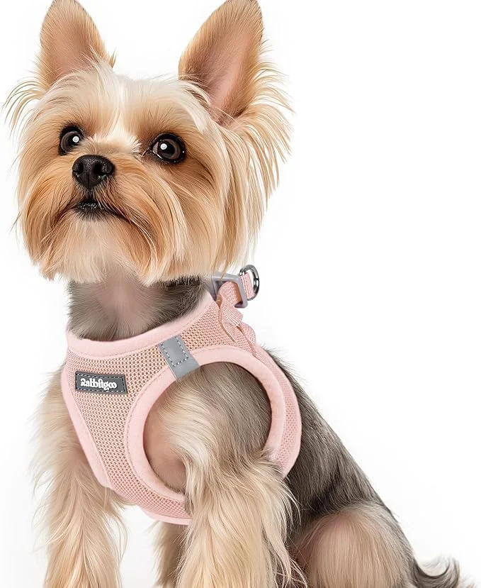 Premium rabbitgoo Small Dog Harness Step-in Soft Mesh Puppy Vest with Safety Buckle Breathable Reflective Pet Harness for Small Sized Dogs Pink XSAbout ThisOverview Convenient