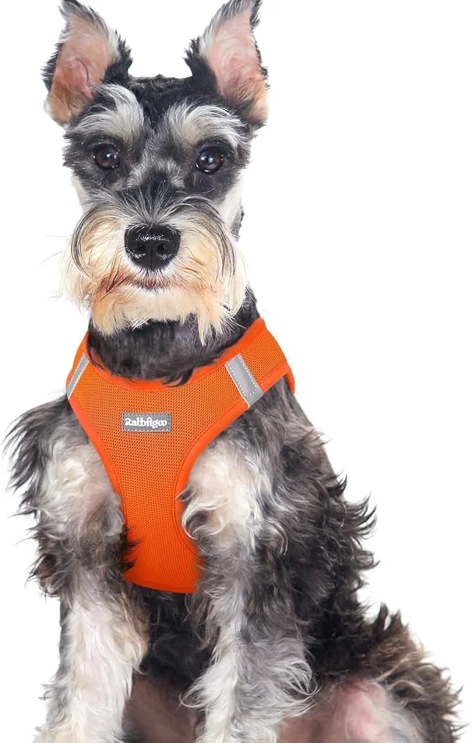 Elite rabbitgoo Small Dog Harness Step-in Soft Mesh Puppy Vest with Safety Buckle Breathable Reflective Pet Harness for Large Dogs Orange XXLAbout ThisOverview Healthy