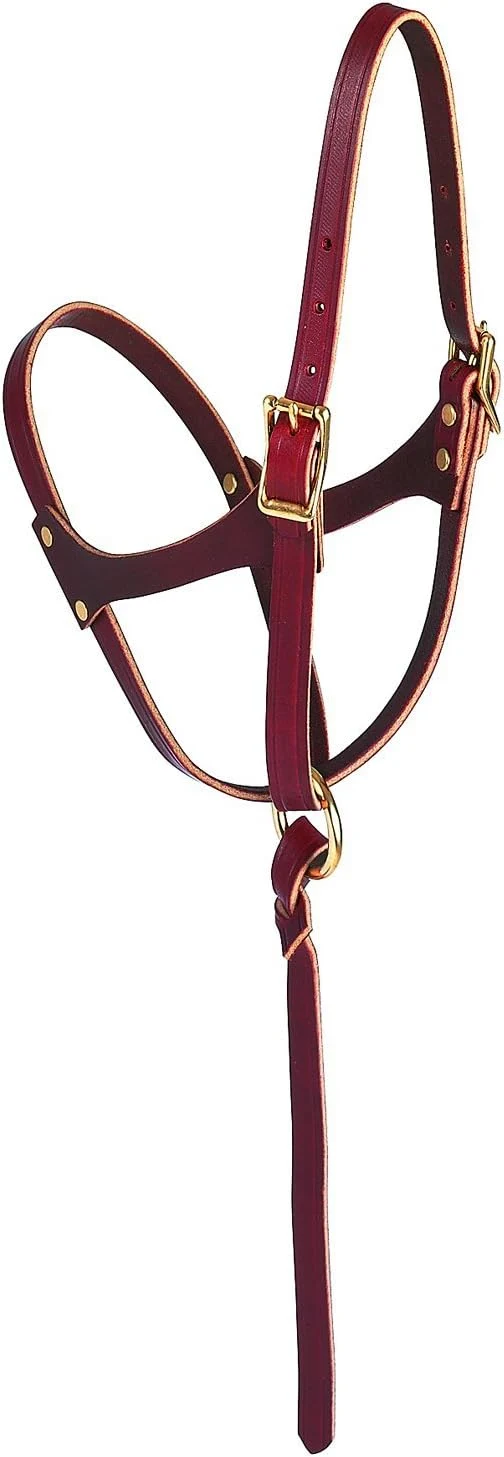 Advanced Weaver Leather Figure-8 Foal Halter Russet 5 8 Verified