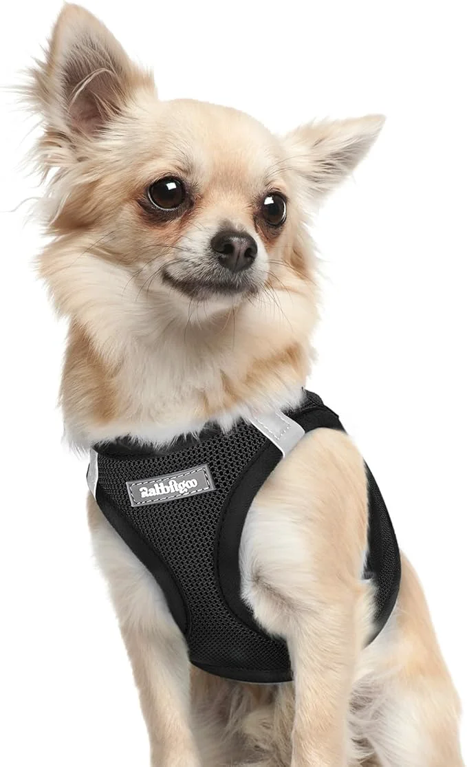 Elite rabbitgoo Small Dog Harness Step-in Soft Mesh Puppy Vest with Safety Buckle Breathable Reflective Pet Harness for Extra Small Dogs Black XXXSAbout ThisOverview Fast