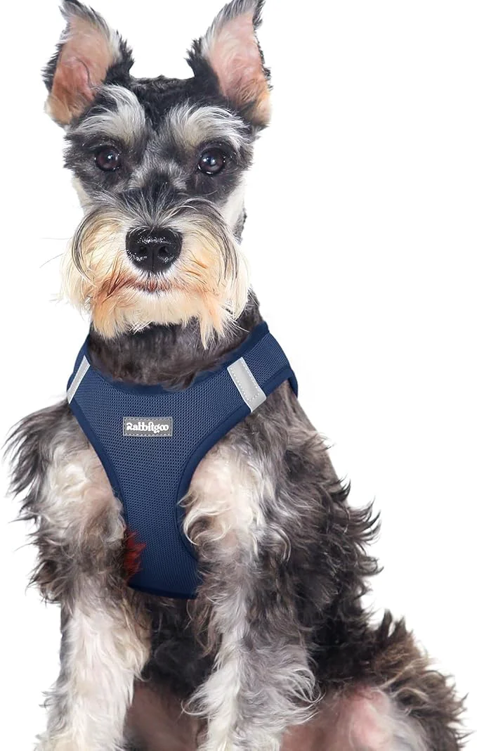 Traditional rabbitgoo Small Dog Harness Step-in Soft Mesh Puppy Vest with Safety Buckle Breathable Reflective Pet Harness for Large Dogs Navy Blue XXLAbout ThisOverview Next-Generation