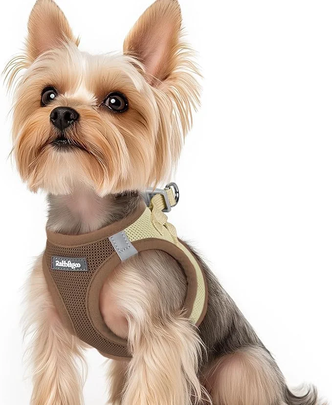 Selected rabbitgoo Small Dog Harness Step-in Soft Mesh Puppy Vest with Safety Buckle Breathable Reflective Pet Harness for Small Sized Dogs Brown Beige XSAbout ThisOverview Proven