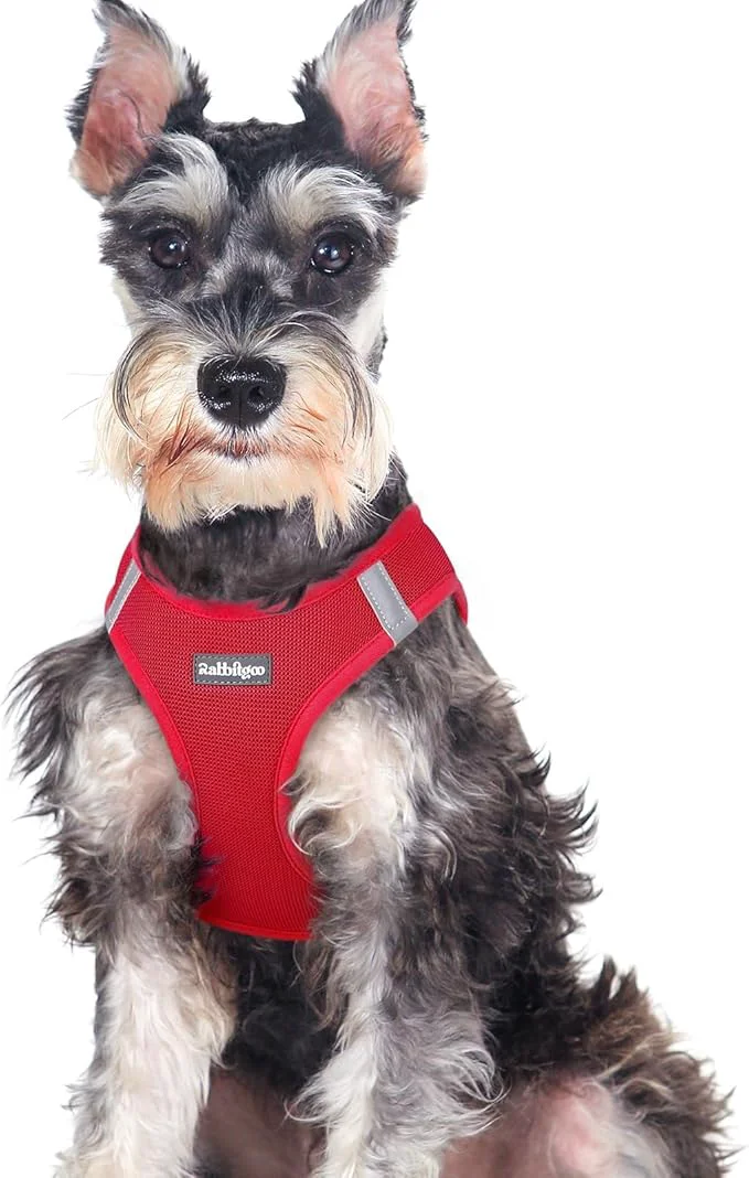Elegant rabbitgoo Small Dog Harness Step-in Soft Mesh Puppy Vest with Safety Buckle Breathable Reflective Pet Harness for Large Dogs Red XXLAbout ThisOverview High-Performance