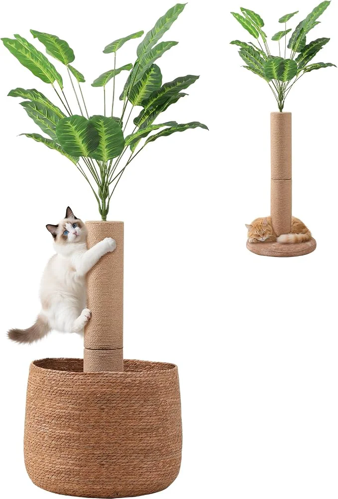 Relaxed 62 Inch Tall Cat Scratching Post Carefully Designed