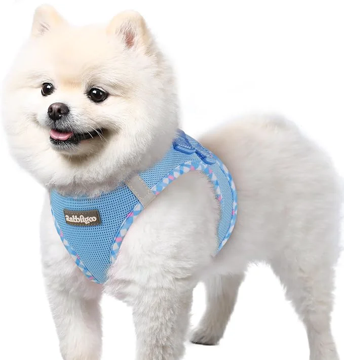 Outstanding rabbitgoo Small Dog Harness Step-in Soft Mesh Puppy Vest with Safety Buckle Breathable Reflective Pet Harness for Small Sized Dogs Blue Plaid Trim SAbout ThisOverview Dependable