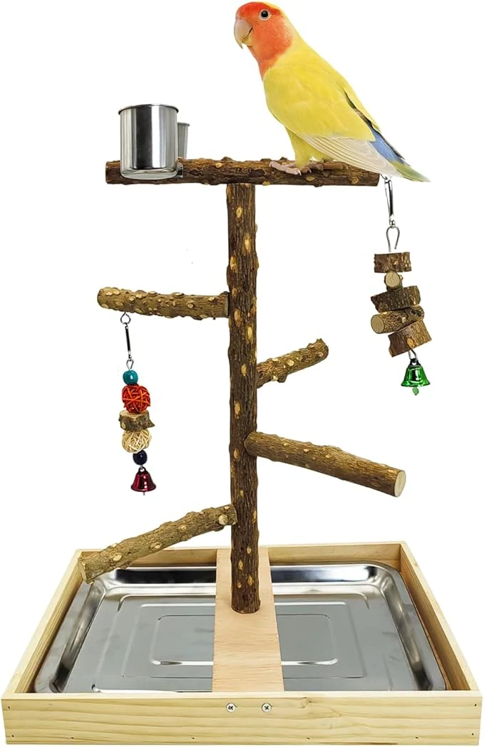 Tfwadmx Bird Perch Natural Wood Stand Parakeet Playground Toy Parrot Play Stand High-Quality