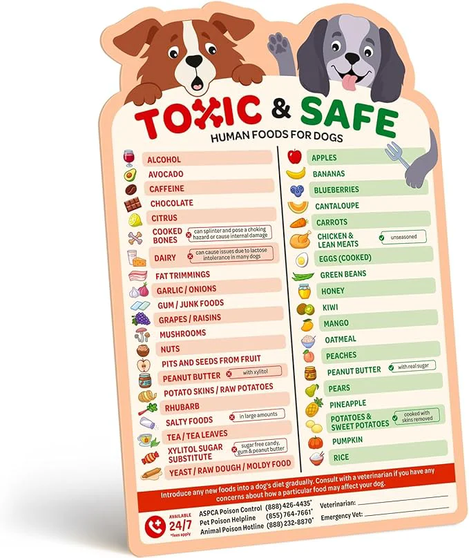 Environmentally Friendly EBPP Magnetic List of Foods Dogs Can Eat Consistent