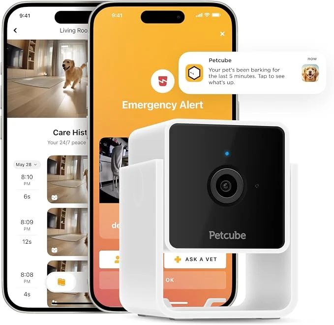Fast Petcube Cam Indoor Wi-Fi Pet and Security Camera Innovative
