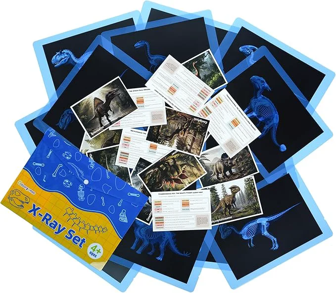High-End 15 Pcs Dinosaur Xrays Creatures Cards，Animal Xrays for Kids，Light Table Toys，Mythical Creatures Science KitAbout This Outstanding