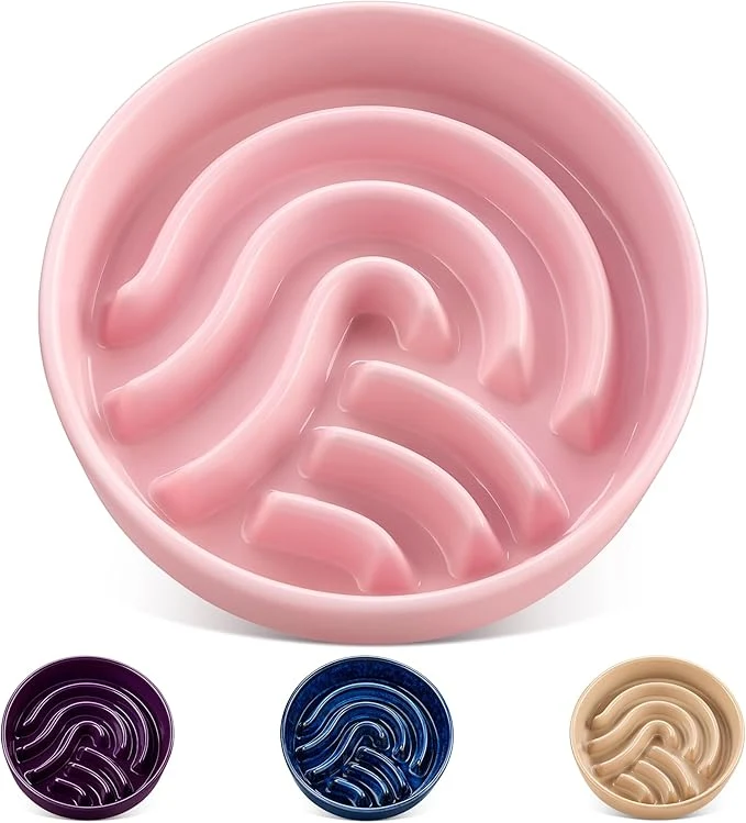 Convenient vancasso Slow Feeder Dog Bowl 3 Cup Ceramic Slow Feeding Food Dish for Large Breed Puzzle Dog Food Bowl for Fast Eater PinkAbout ThisOverview Innovative