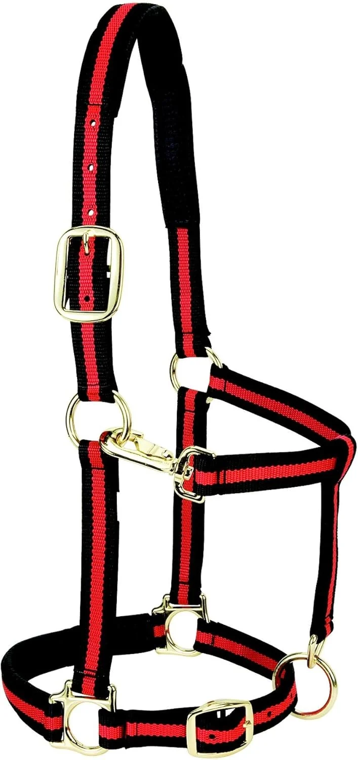 Sophisticated Weaver Equine Nylon Horse Halter Triple-Ply Cheek Design Non Adjustable Halters for Horses Equine Tack Average Size Black Responsible