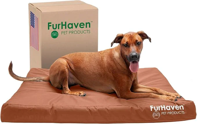 Exceptional Furhaven Water-Resistant Orthopedic Dog Bed Soft