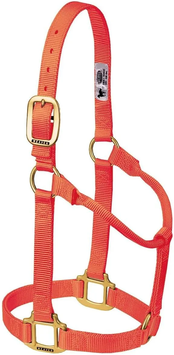 Top-Quality Weaver Equine Nylon Horse Halter Triple-Ply Cheek Design Non Adjustable Halters for Horses Equine Tack Average Size Black Comfortable