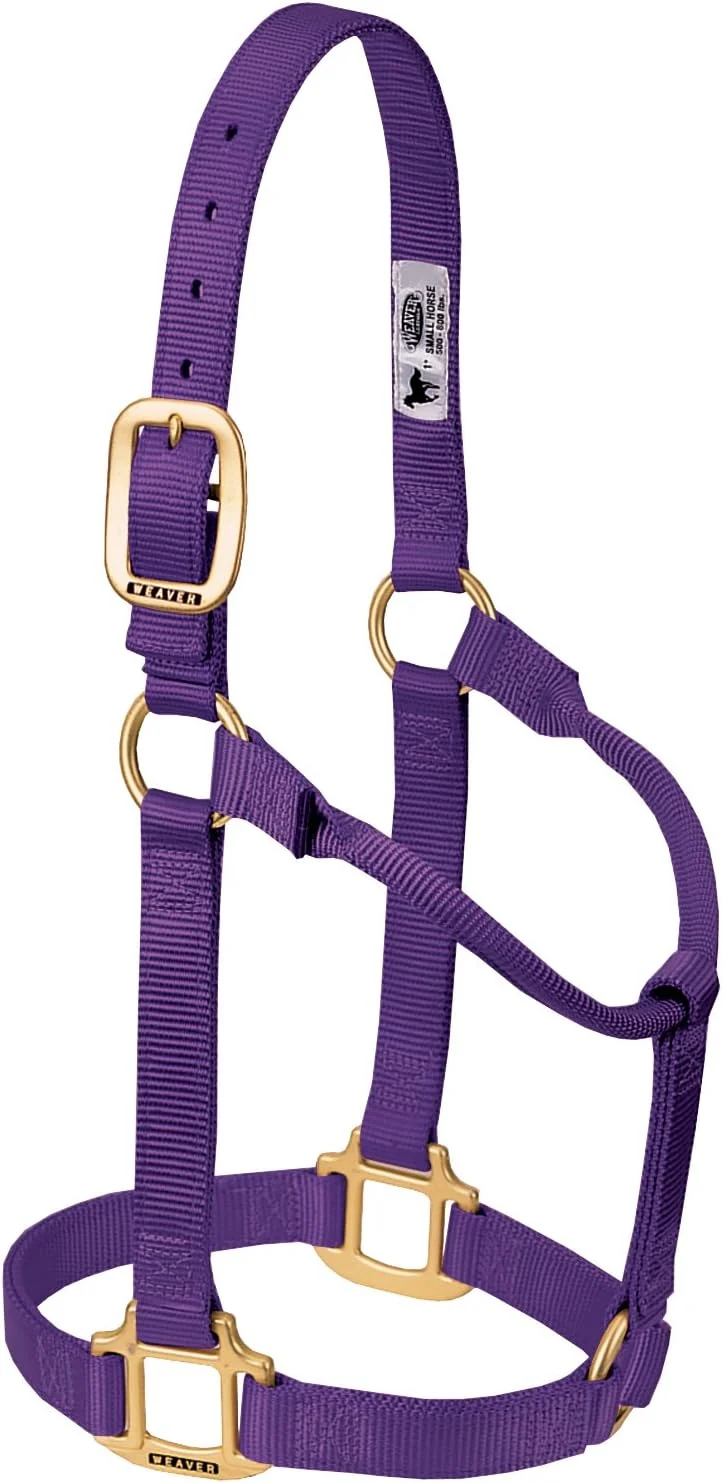 Responsible Weaver Equine Nylon Horse Halter Triple-Ply Cheek Design Non Adjustable Halters for Horses Equine Tack Average Size Black Specialty