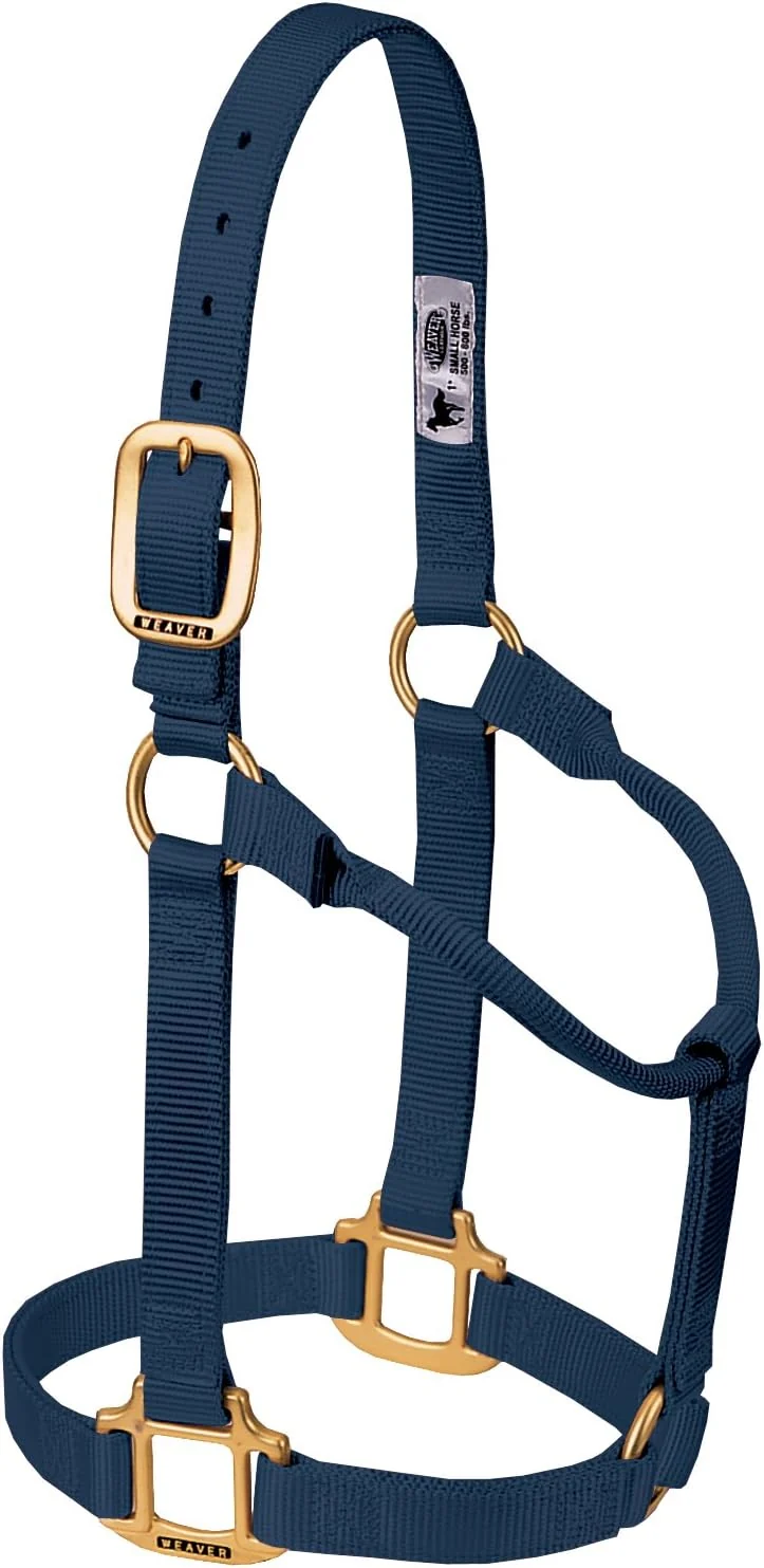 Easy-to-Use Weaver Equine Nylon Horse Halter Triple-Ply Cheek Design Non Adjustable Halters for Horses Equine Tack Average Size Black Solid