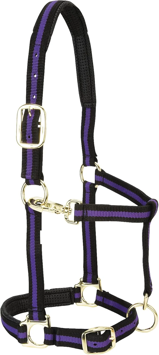 Safe Weaver Equine Nylon Horse Halter Triple-Ply Cheek Design Non Adjustable Halters for Horses Equine Tack Average Size Black Flexible