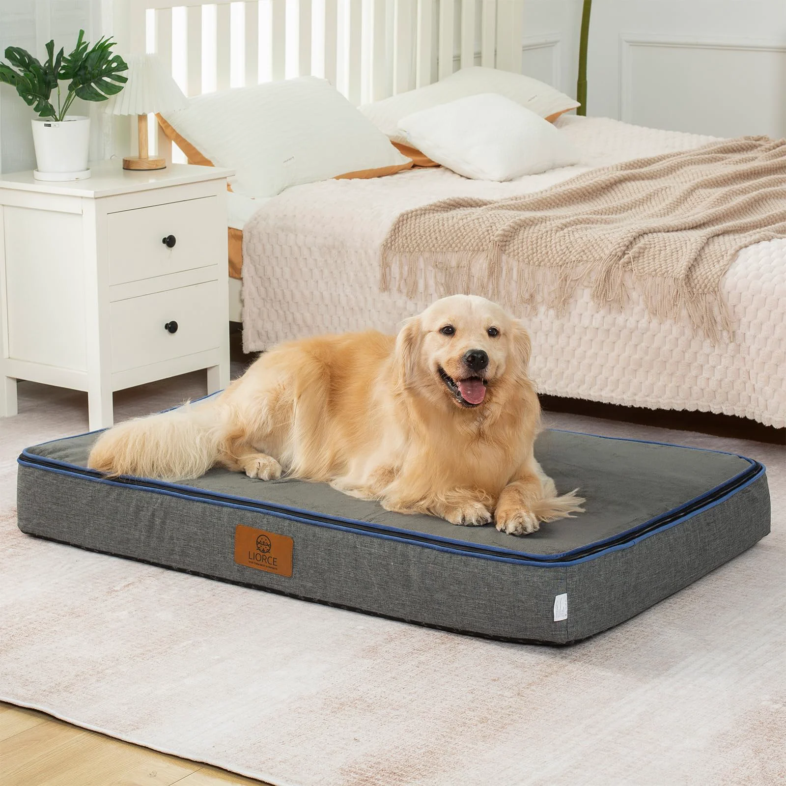 Quality LIORCE Orthopedic Memory Foam XXL Dog Bed – 6-Inch Thick Waterproof Removable Cover Wrap-Around Zipper Dary Grey Stylish