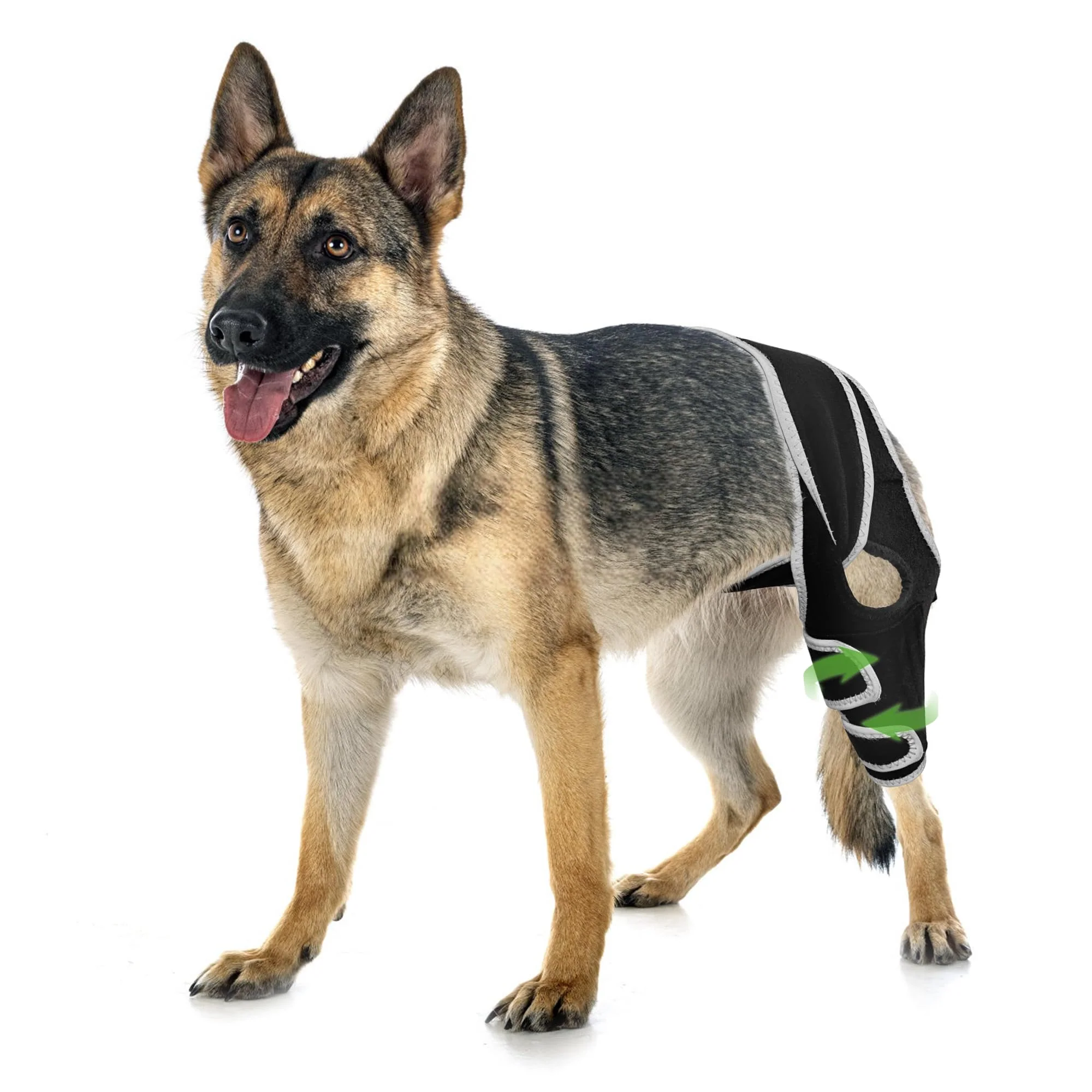 Clean KISFLY Dog Knee Brace for Luxating Patella — Universal Front Hind Leg Support with 6 Metal Strips XL Trusted