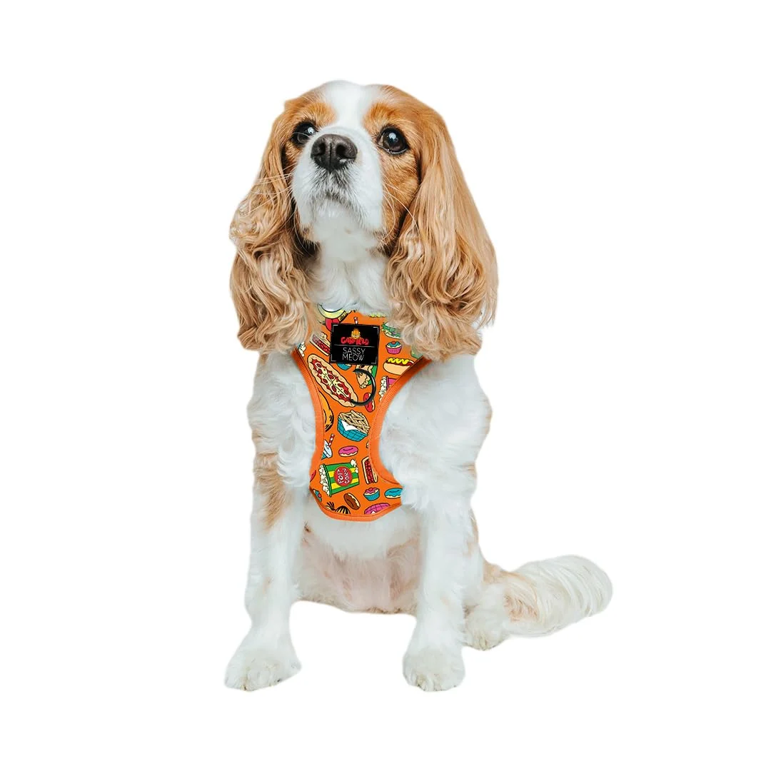 Organic Sassy Woof Garfield™ Adjustable Harness for Small Dogs – No-Pull Breathable Mesh 2 D-Rings Patented Design ly Licensed Refined