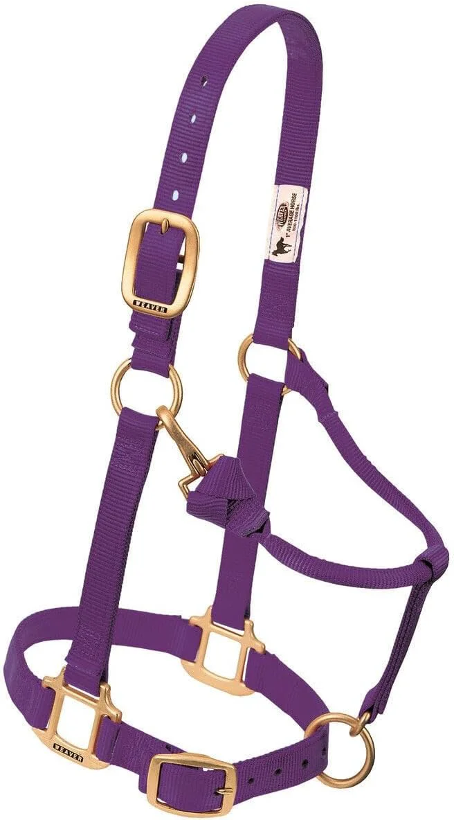 Classic Weaver Leather Adjustable Nylon Horse Halter Sophisticated