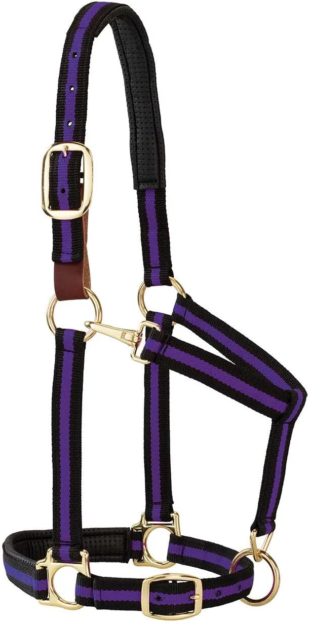 Selected Weaver Equine Breakaway Horse Halter Comfort Foam Padding Adjustable Chin Throat Snap Halters for Horses Equine Tack Average Size Purple Responsible