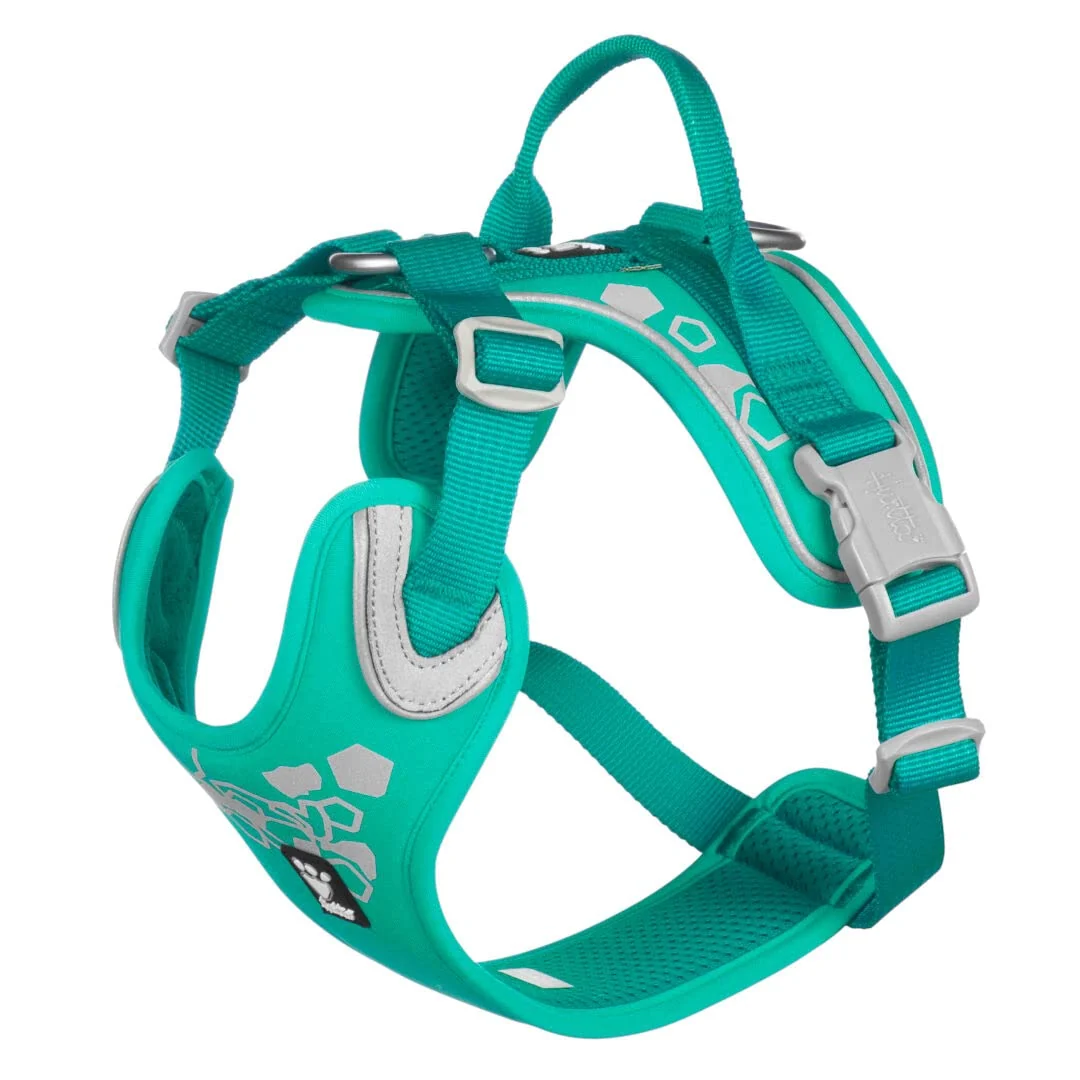 Fast Hurtta Weekend Warrior Dog Harness – Peacock 32-39 in Easy-On Reflective All-Weather Practical