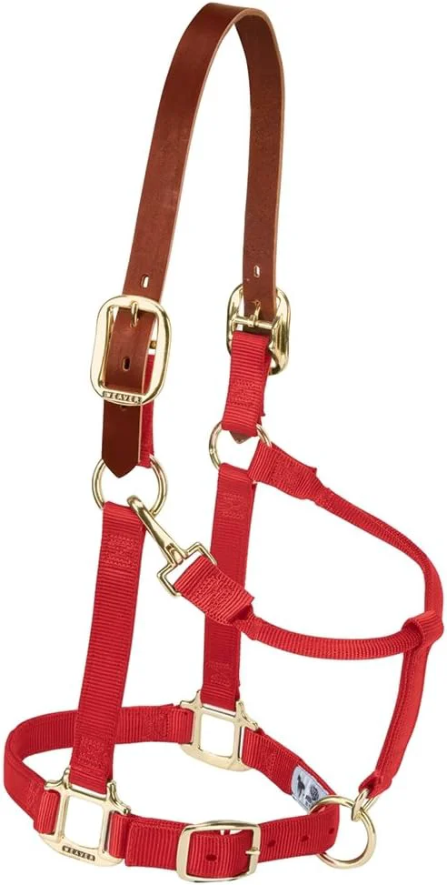 Outstanding Weaver Equine Breakaway Horse Halter Supple Leather Crown Adjustable Chin Throat Snap Halters for Horses Equine Tack Genuine
