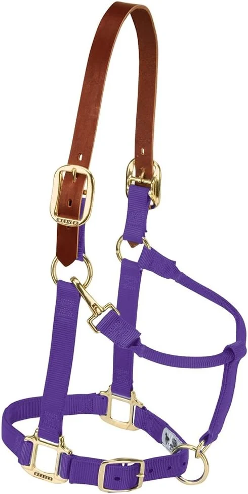 Sustainable Weaver Equine Breakaway Horse Halter Supple Leather Crown Adjustable Chin Throat Snap Halters for Horses Equine Tack Easy-to-Use