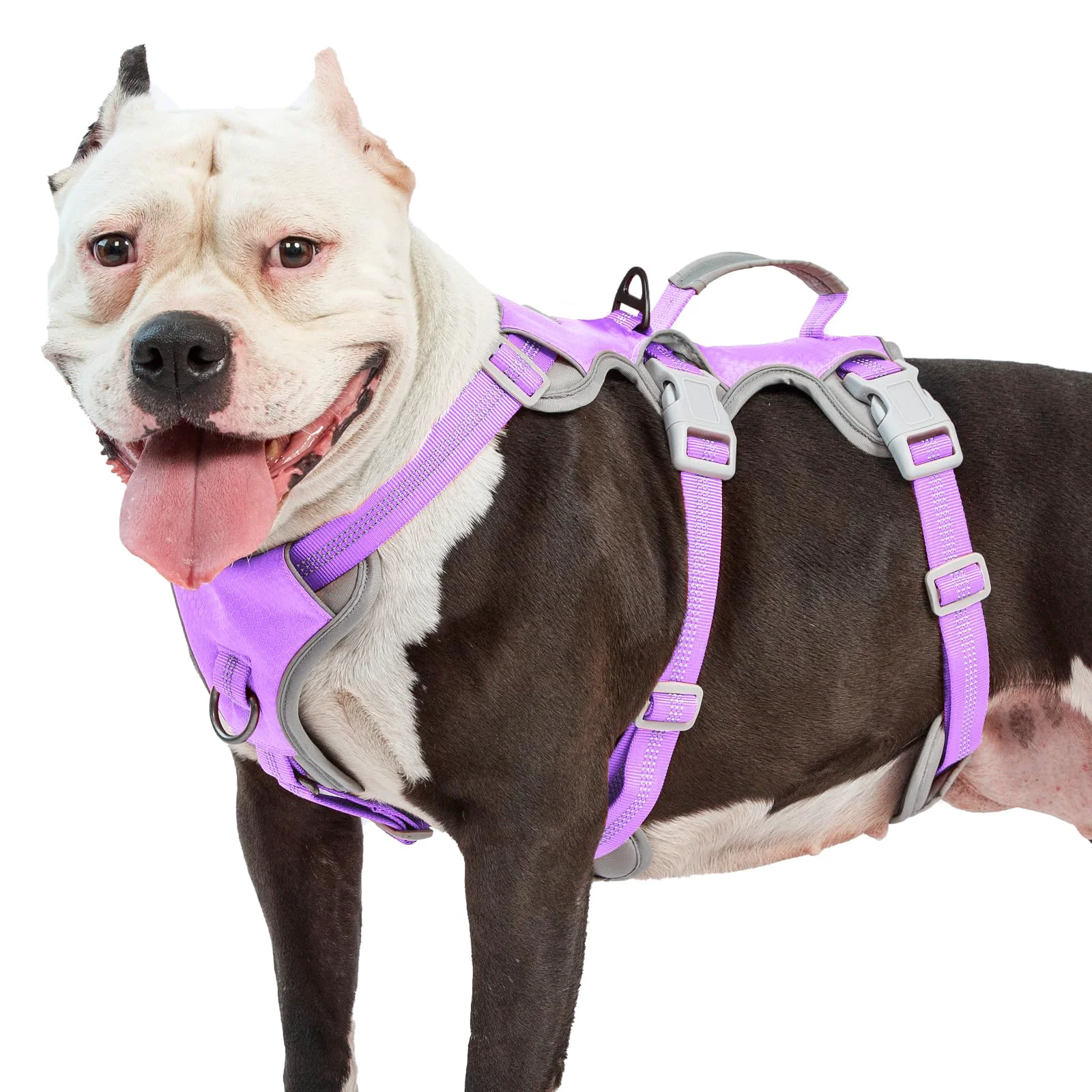 Exceptional Huntboo Escape Proof Dog Harness XL – Reflective Adjustable with Padded Handle Lavender Luxury