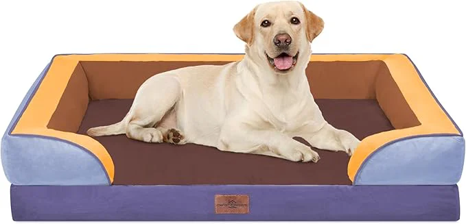 Reliable Comfort Expression Orthopedic Dog Bed Functional