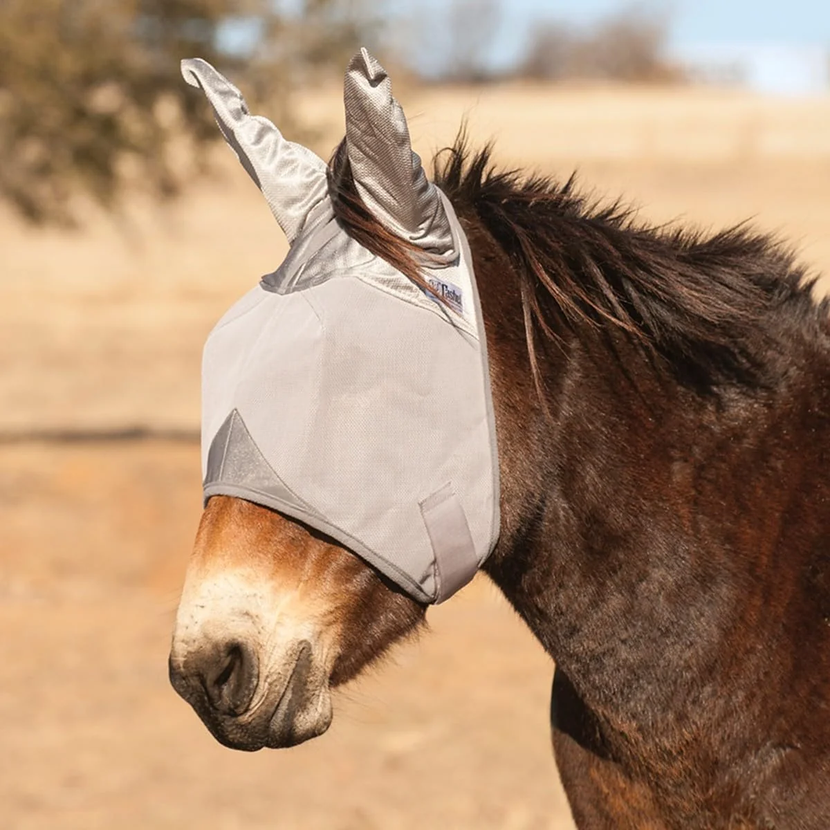 Easy-to-Use Cashel Crusader Mule Fly Mask – Standard with Ears Grey Mule Arabian Elite