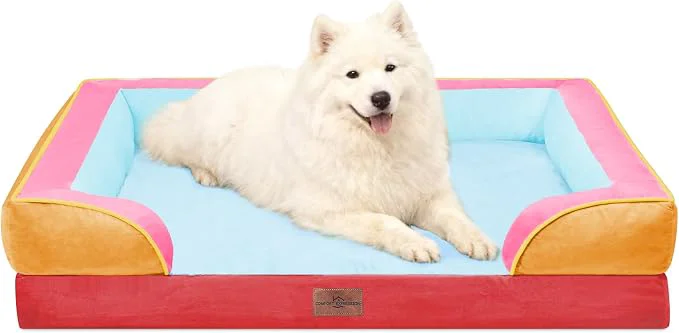 Comfortable Comfort Expression Orthopedic Dog Bed Genuine