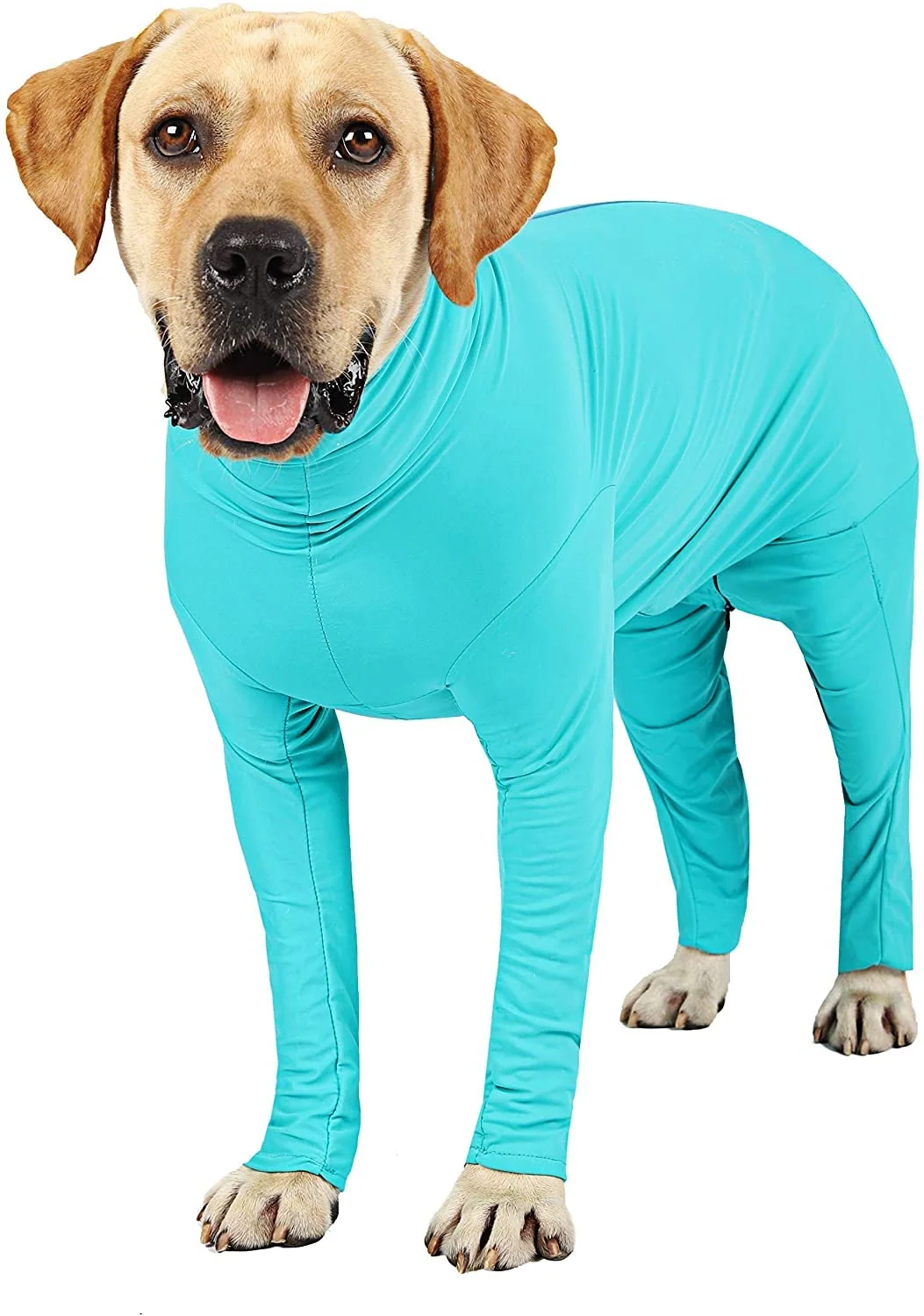 Soft Etdane Recovery Suit for Dogs – Surgery Post-Op Onesie Blue 3XL Functional