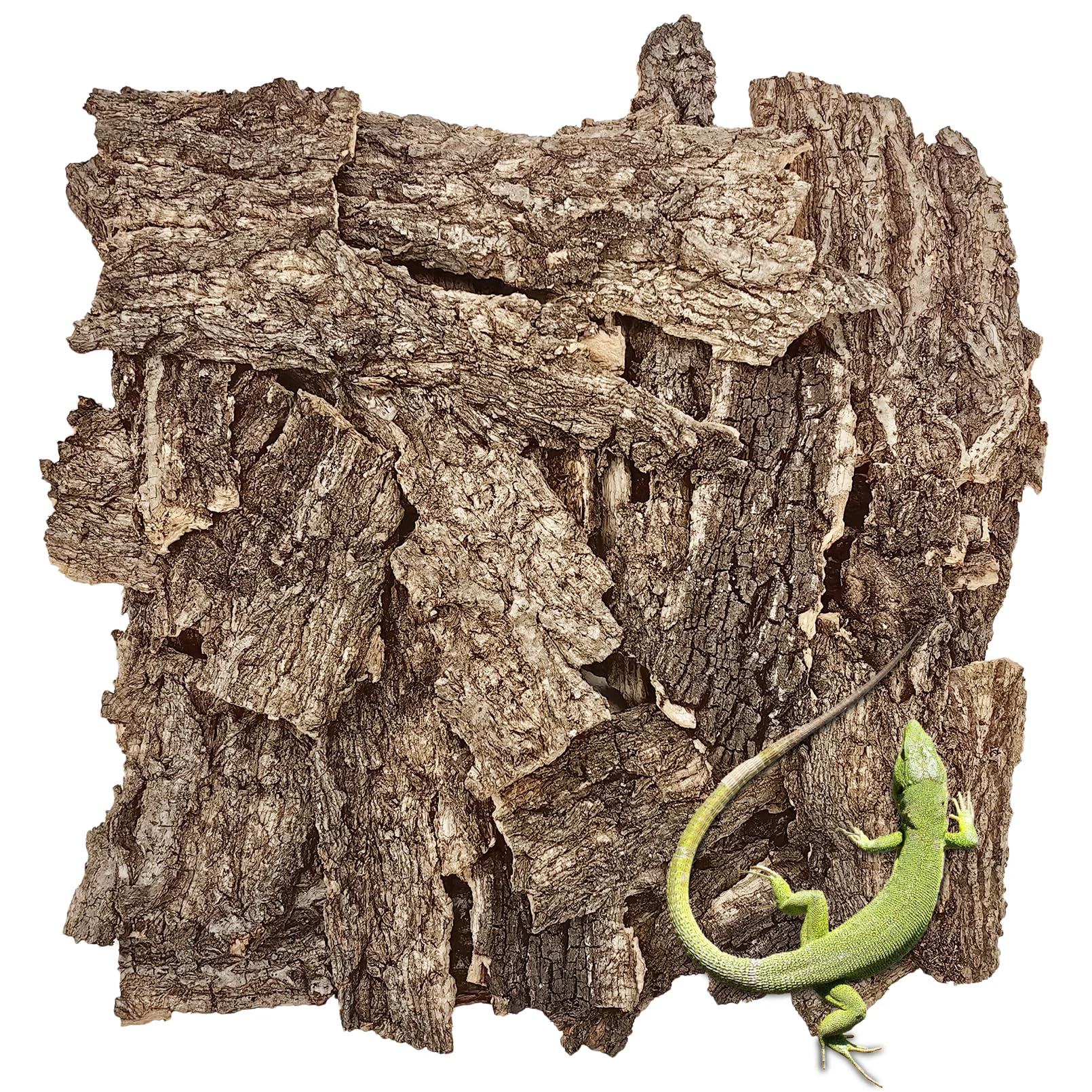 Premium Material VCEPJH Reptile Bark Bedding – Natural Cork Bark 2LB for Terrarium Substrate and Enrichment Efficient