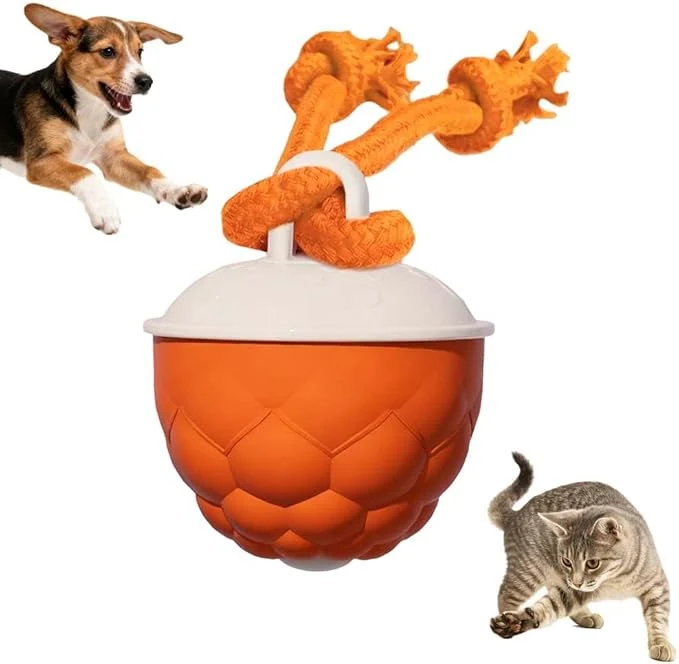 Contemporary Interactive Dog Toys – 2026 Upgraded Motion Activated Automatic Rolling Ball Toys for Small Medium Large Dogs Balls for Boredom to Keep Them Busy with USB Rechargeable Orange About This High-Quality