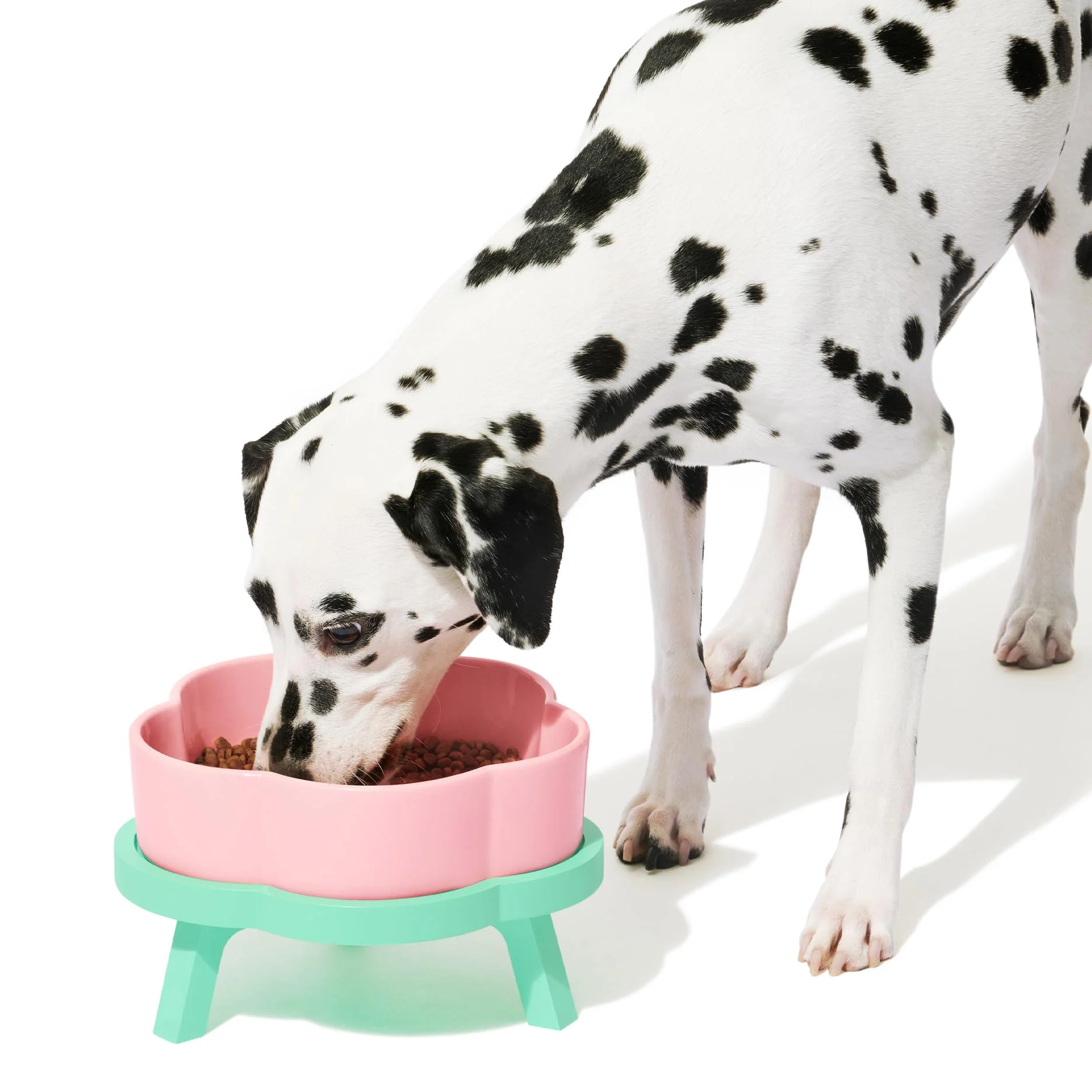 Organic VETRESKA d Dog Bowls Large – 64oz Ceramic Raised Bowl with Bamboo Stand Flower-Shaped Efficient
