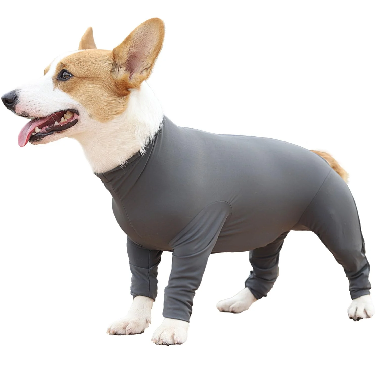 Advanced Etdane Recovery Suit for Dogs – Grey Medium Post-Surgery Onesie Anti-Licking Shedding Elegant
