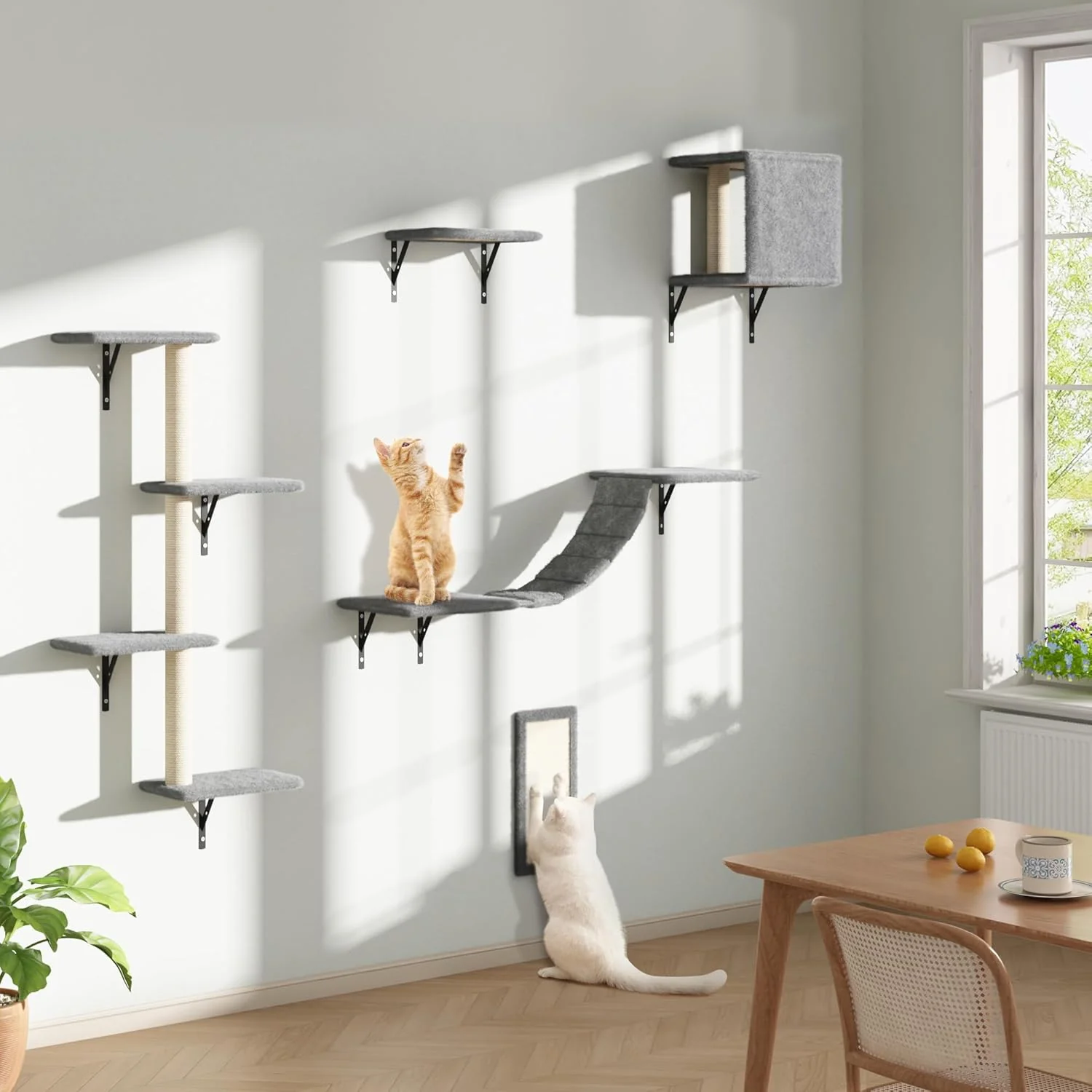 Fine COZIWOW Wall Mounted Cat Furniture Cat Wall Shelves and Perches Floating Cat Shelves for Wall Set of 5 Grey Excellent