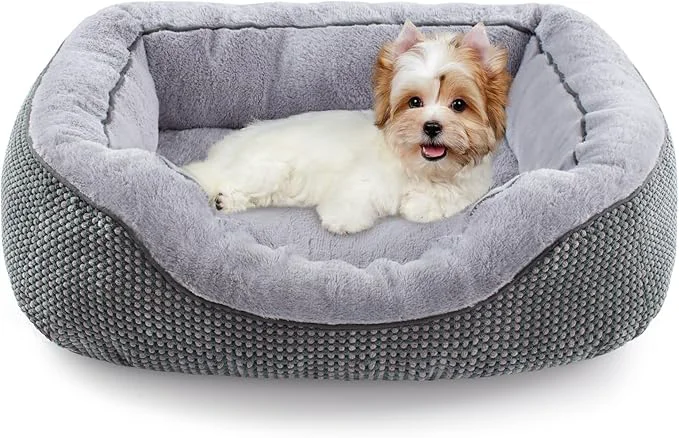 Trendy INVENHO Small Dog Bed for Small Dogs Cat Beds for Indoor Cats Washable Premium