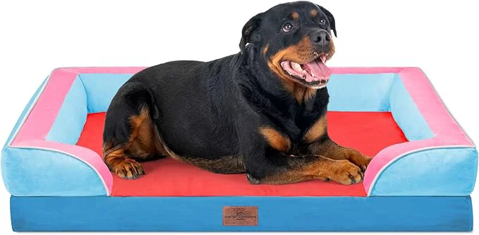 Unique Comfort Expression Orthopedic Dog Bed Efficient