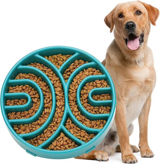 Traditional Whippy Slow Feeder Dog Maze Bowl – Anti-Choking Anti-Slip Interactive Puzzle Feeder for Large Dogs GreenAbout ThisOverview Modern